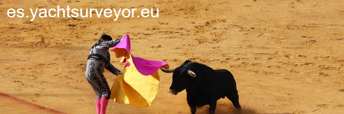 es.yachtsurveyor.eu